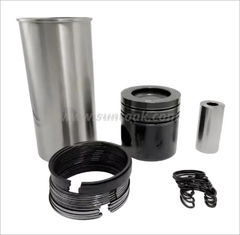 Kit de révision du moteur 612600900080 pour WEICHAI WD12.420
